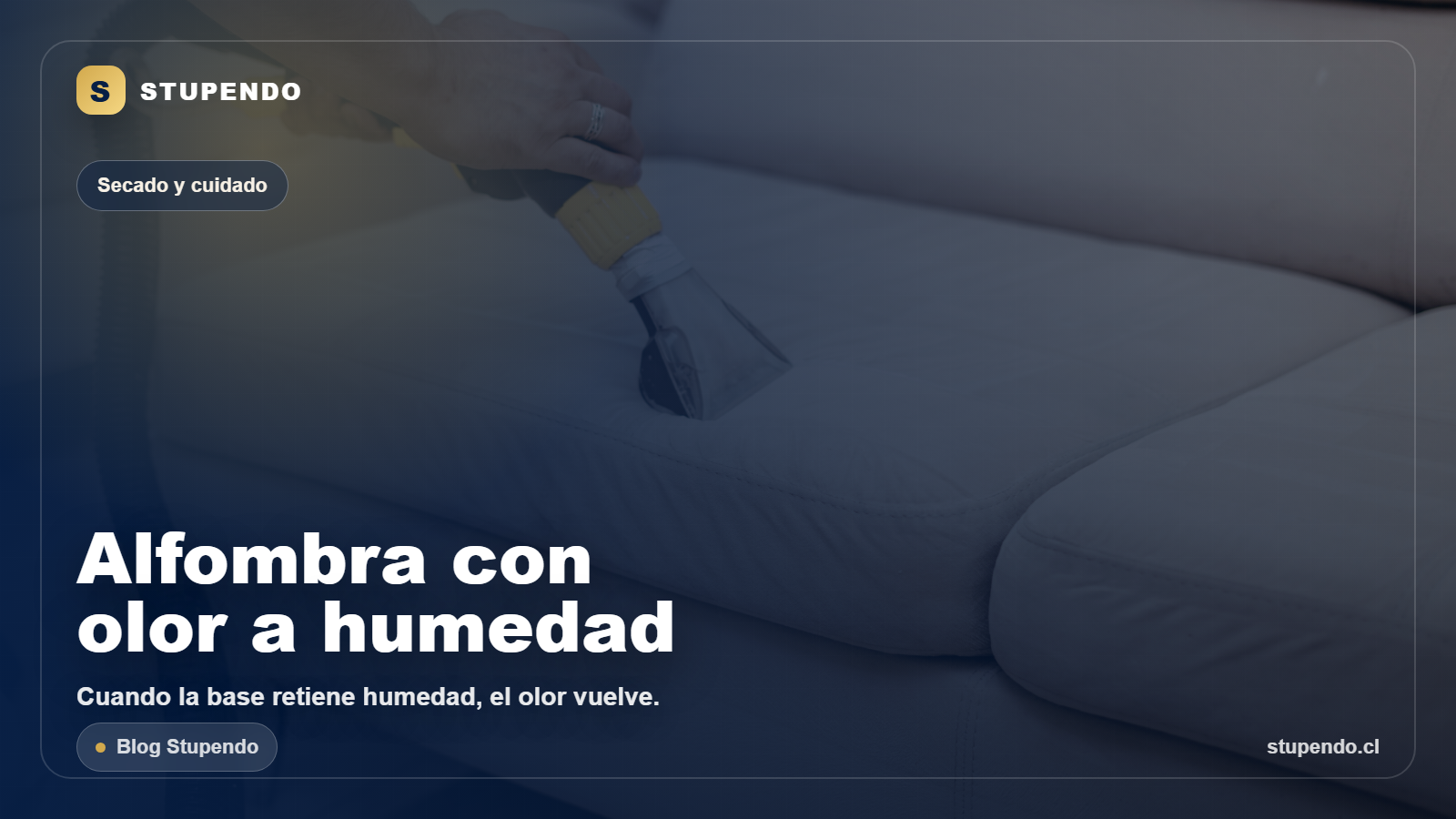 Limpieza de alfombra con olor a humedad